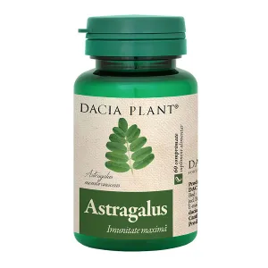 Astragalus,