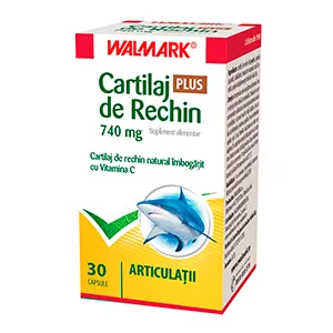 Cartilaj