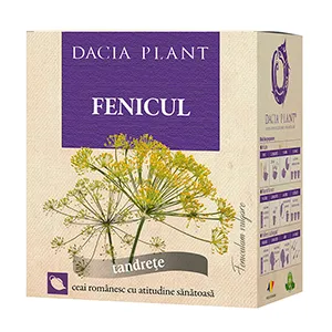 Fenicul