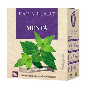 Menta