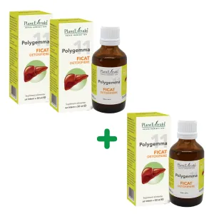 Pachet Polygemma nr. 11, Ficat detoxifiere, 50 ml, Plantextrakt