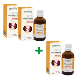 Pachet Polygemma nr. 12, Rinichi detoxifiere, 50 ml, Plantextrakt