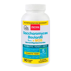 Saccharomyces