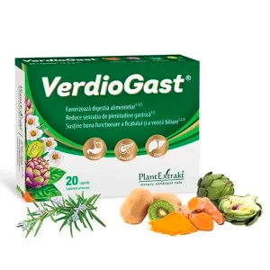 VerdioGast,