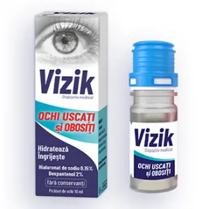 Vizik